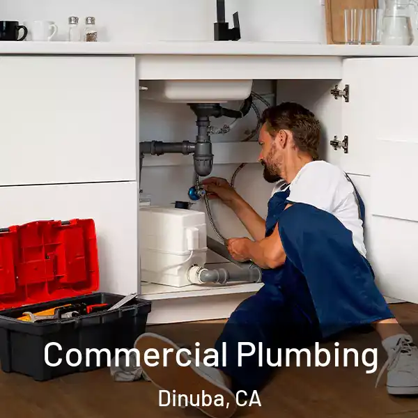  Commercial Plumbing Dinuba, CA