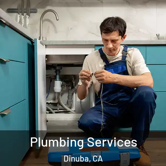 Plumbing Services Dinuba, CA